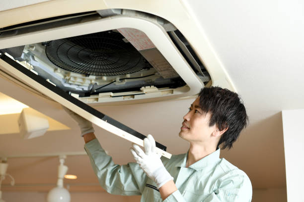 Best Air Duct Mold Removal  in Culloden, WV